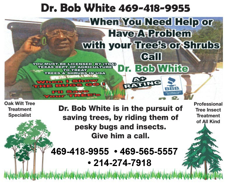 BW Insect Control And Tree Care